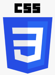 CSS Training in Kalyan